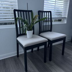 IKEA Dining Chairs 