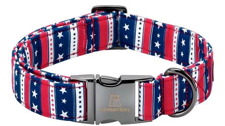 NEW Lionheart Glory Dog Collar