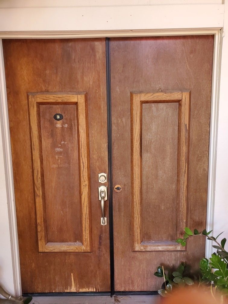 Double Front Entry House Doors