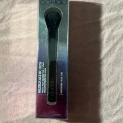 Professional Grade Multitasking Face Brush New 