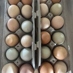 Chicken eggs