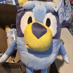 Bluey and Bingo, and bluey Blanket.