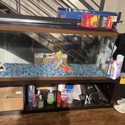 109 Gallon Fish Tank