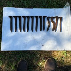 Railroad Spikes