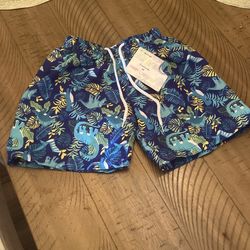 New Boy Swimming Shorts