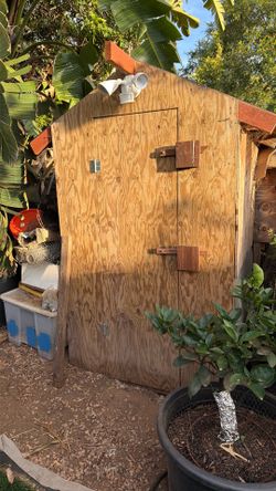 Chicken Coop/hens