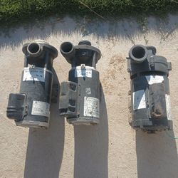 Pool/Spa Pump Motors