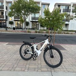 Electric Bike 