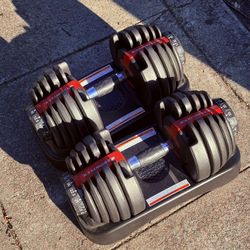 Bowflex Dumbbell 