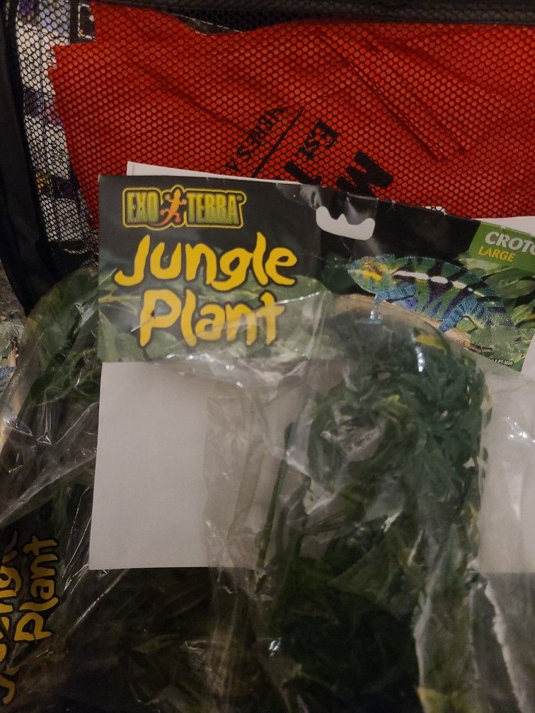 Jungle Plant