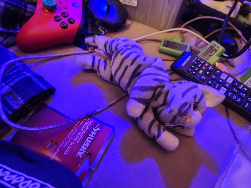 Beanie Baby Prance The Cat