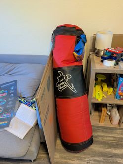Red and Black Heavy Punching Bag