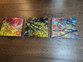 3 Art Canvases