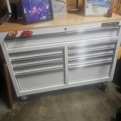 9 drwrs white tool box