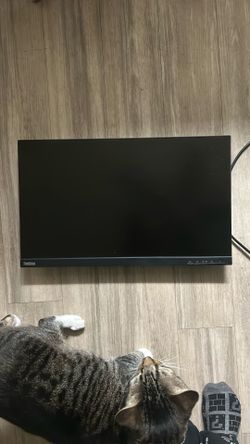 Monitor 60hz