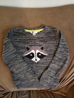 PL kids racoon sweater size 6,7 like new