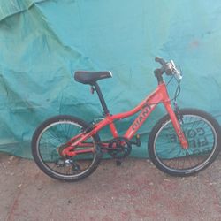 Giant xtc 20 inch bike hot sale