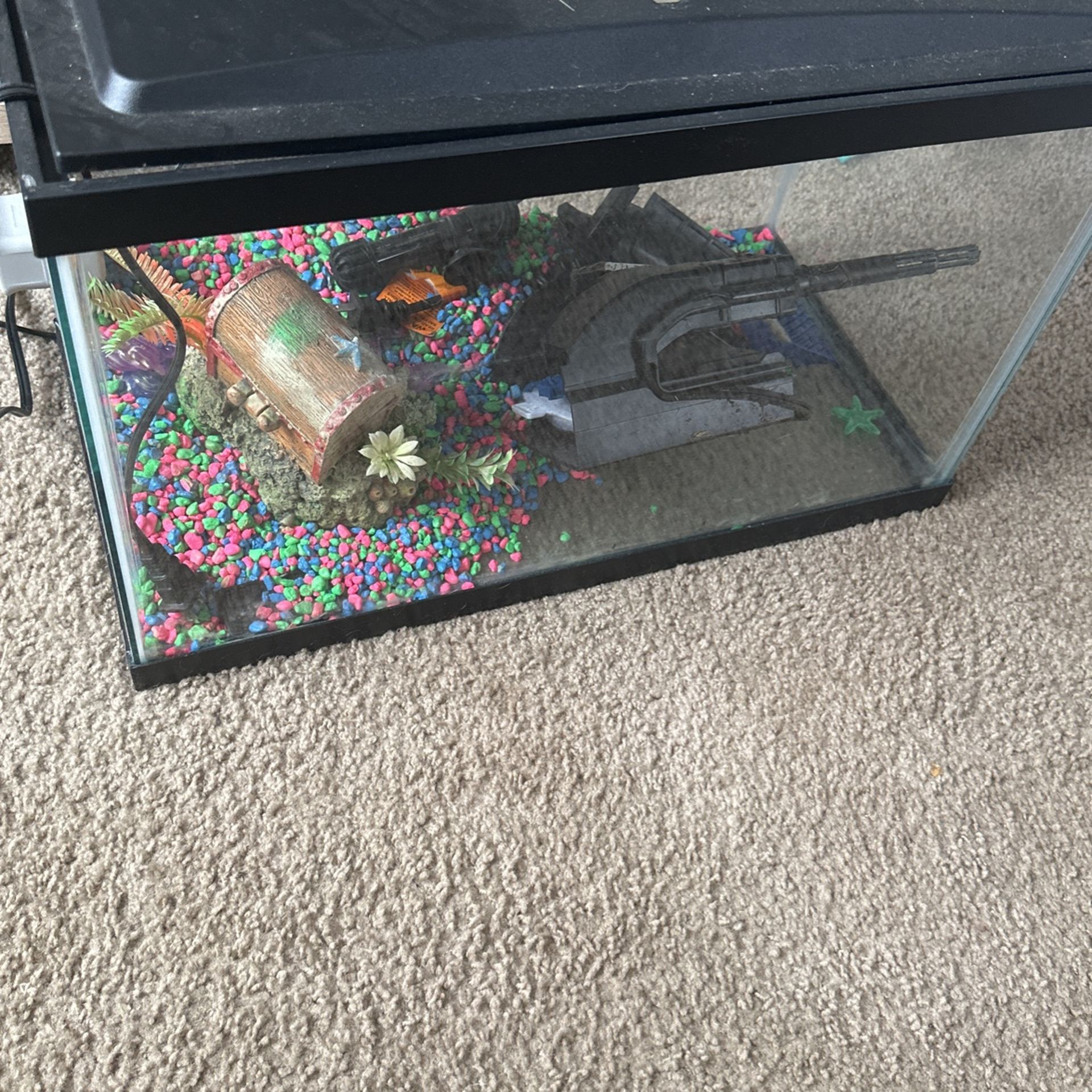 Fish Tank