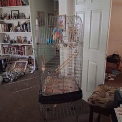 Bird cage looking for a  home 