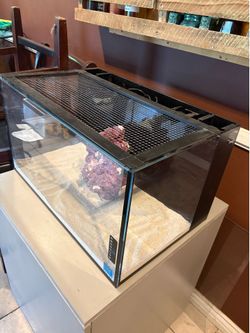 Nuvo Fusion Pro 20 Aquarium Rimless Fish Tank
