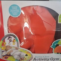 Baby Activity Gym