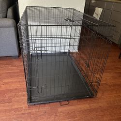 Dog Kennel 