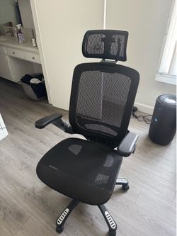 Ergonomic Desk Chair