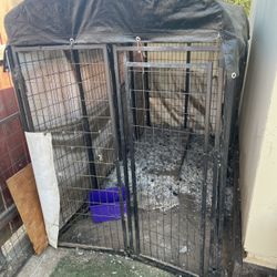 Dog Cage