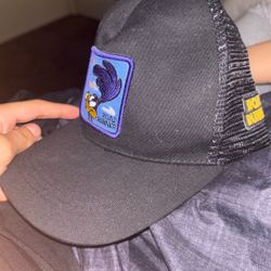 New Hat Never Been Worn Kept In Storage