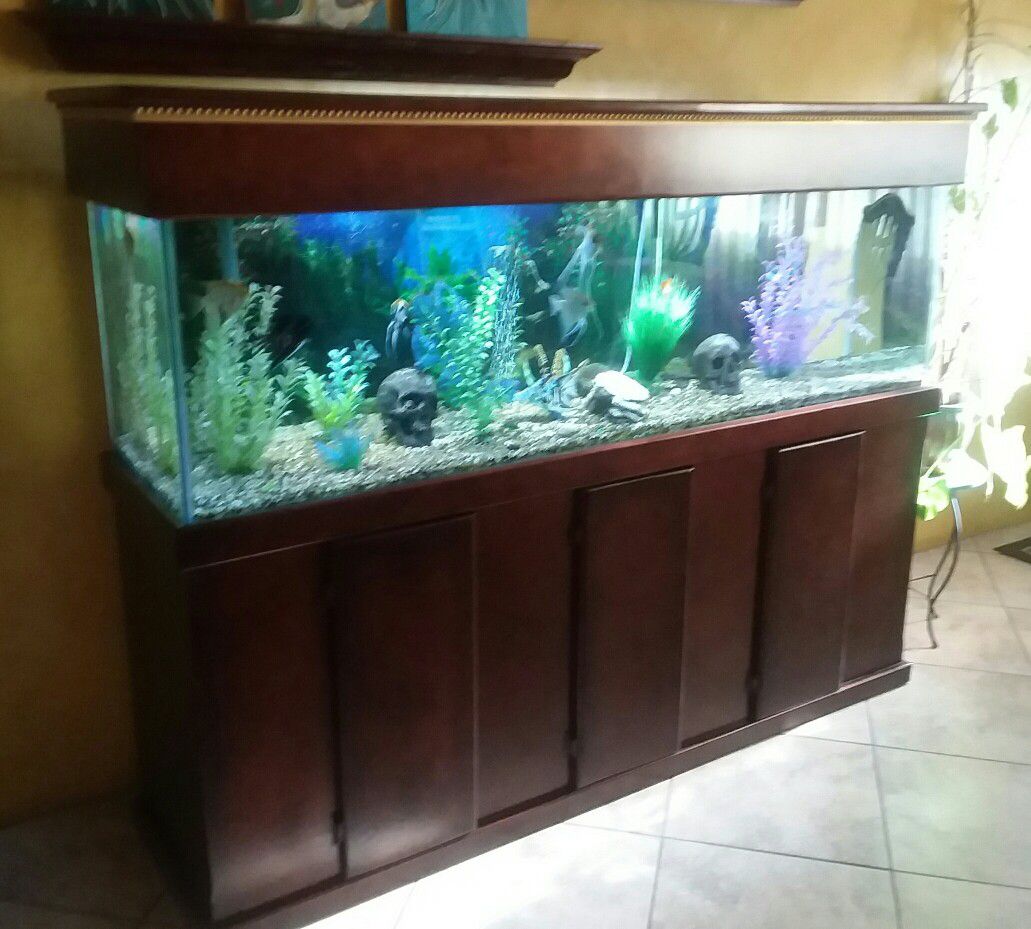 150 Gal Fish Tank