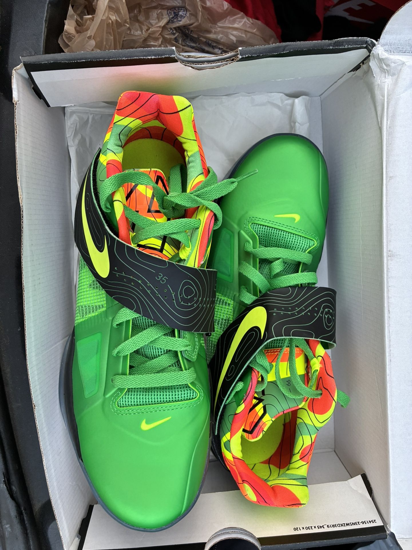 Kd’s