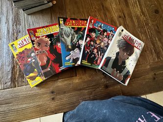 My Hero Academia Anime series