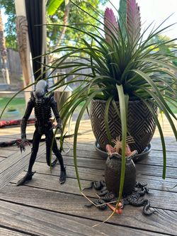 NECA Alien Xenomorph Action Figure Set