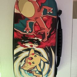 Regular Nintendo Switch Case