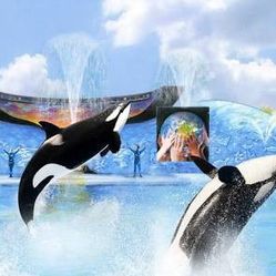 *** Sesame Place ** ###  SeaWorld 