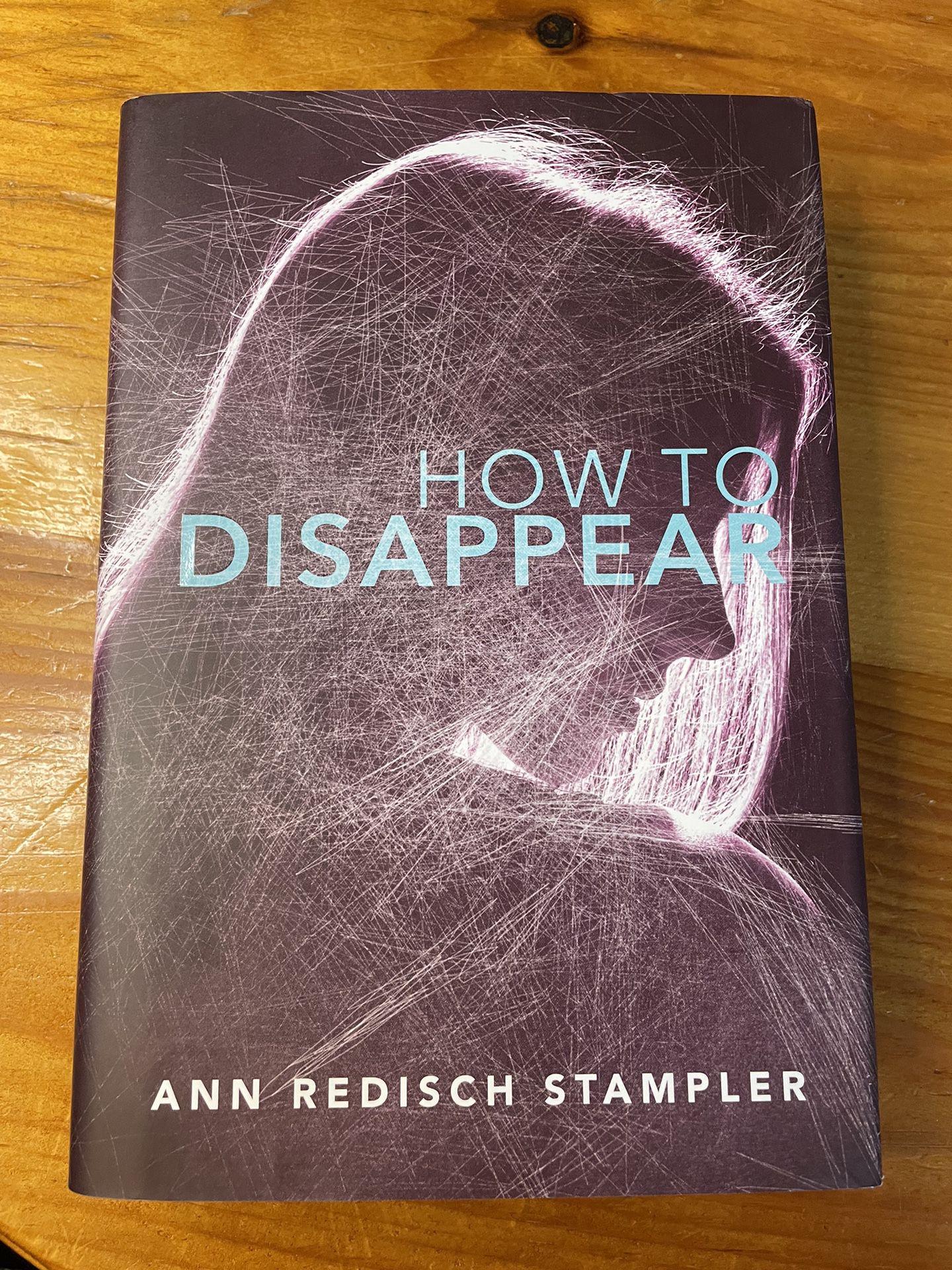“How To Disappear” By Ann Redisch Stampler