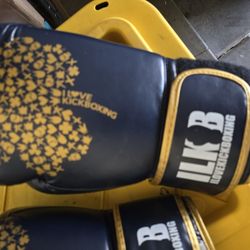 Boxing Machine, 16oz Gloves & 2 Sets Of Wraps