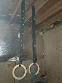 Exercise rings with straps