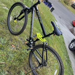 Bike 29”