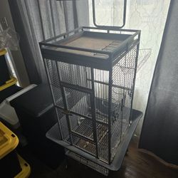Bird Cage
