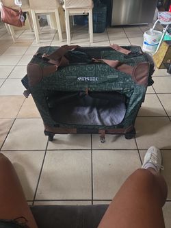Petsee/ Green /brown 3 Feet Tall