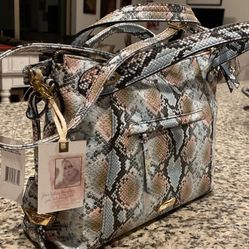 Multicolored Snake Skin Purse