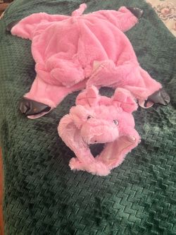 Dog pig costume