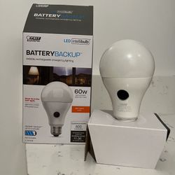 LED Intellibulb 💡Battery BackUp