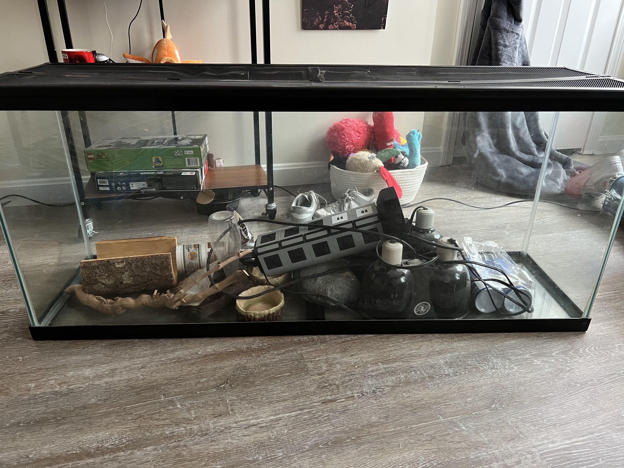 55 gallon lizard tank (2 available)