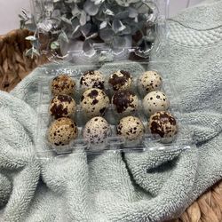 Quail Eggs 