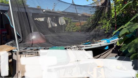 Free Trampoline