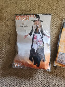 Salem Witch Costume