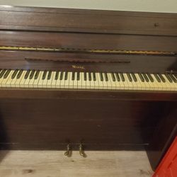 Minipiano Make OFFER