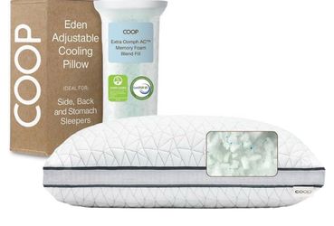 Coop Home Goods Eden Bed Pillow Queen Size for Sleeping on Back, Stomach and ...